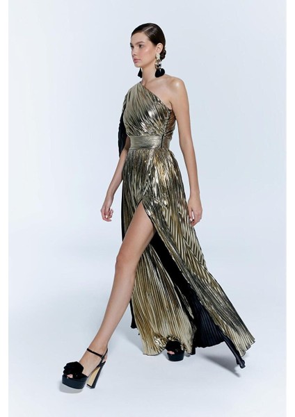 Baglioni Gown Elbise