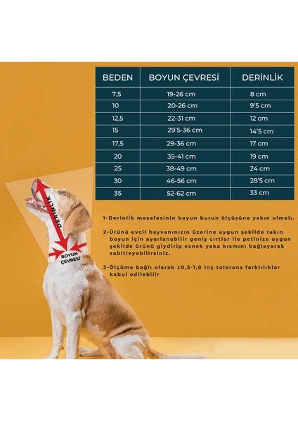 Elizabeth Yakalık (15 Cm)