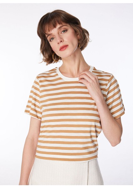 Beyaz - Bej Kadın Bisiklet Yaka Basic T-Shirt FC4SL-TST0536 fiyatları