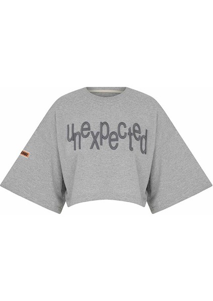 Mımma Crop Top - Grey Chrome