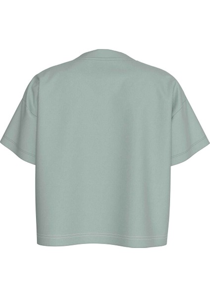 Mint Kadın Standart Baskılı T-Shirt Embroıdered Aw Relaxed Tee indirimleri