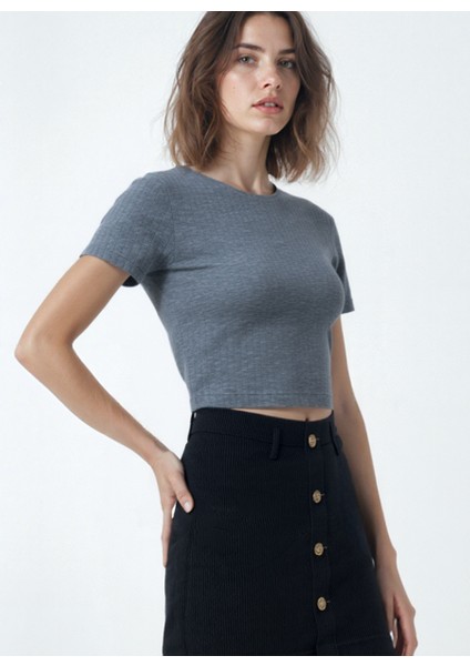 Gri Melanj Çizgili Bisiklet Yaka Kısa Kollu Kadın Crop T-Shirt Sandy