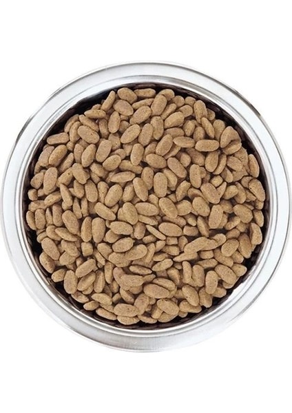 Pro Plan Adult Small Somonlu Yetişkin Köpek Maması 7 kg fırsatları