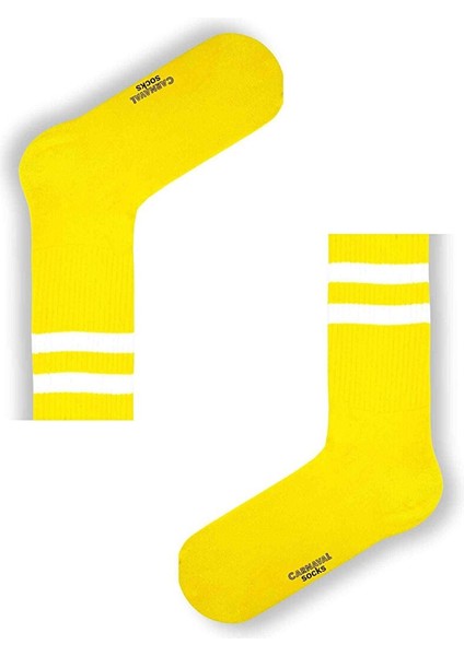 7'li Çemberli Desenli Renkli Spor Çorap Set