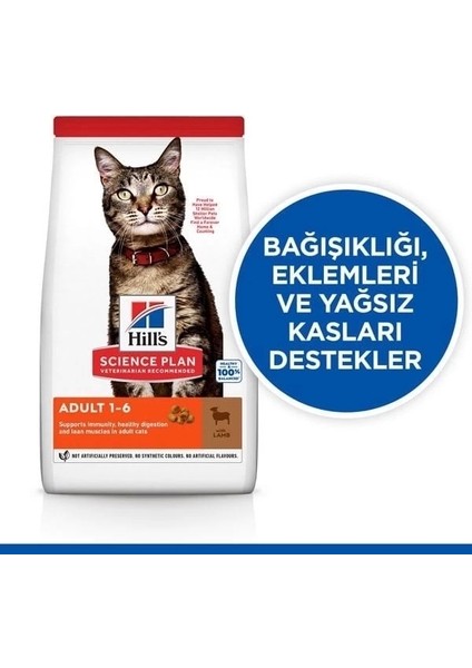 Hills Adult Kuzu Etli Yetişkin Kedi Maması 8+2 kg fiyatları