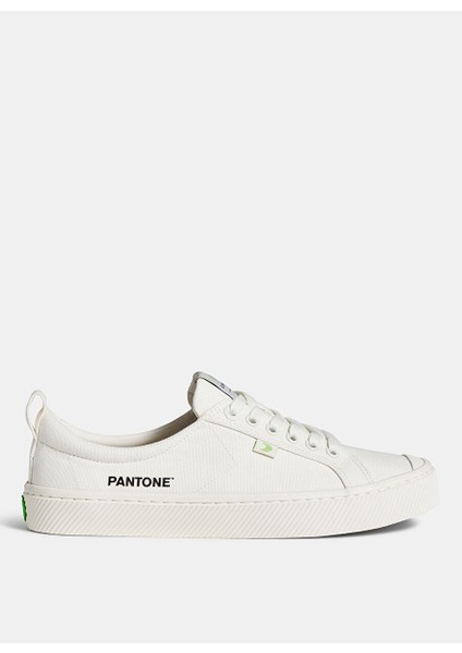 100103W14W-OCA Low Canvas - Pantone Beyaz Kanvas Kadın Günlük Spor Ayakkabı