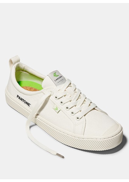 100103W14W-OCA Low Canvas - Pantone Beyaz Kanvas Kadın Günlük Spor Ayakkabı modelleri