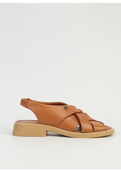 Taba Kadın Deri Sandalet PCK-5051