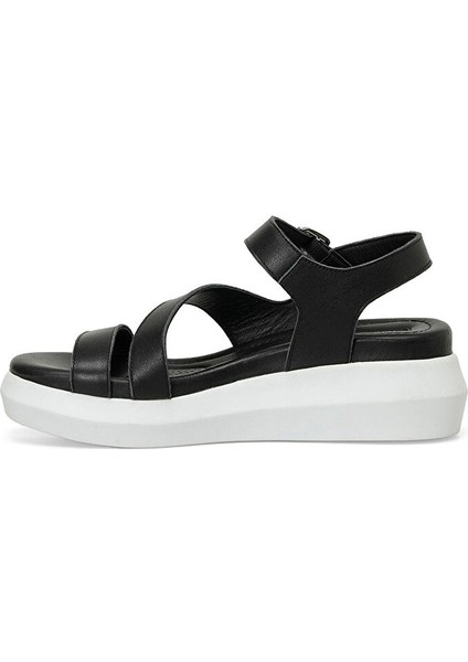 Monra 4fx Siyah Kadın Comfort Sandalet