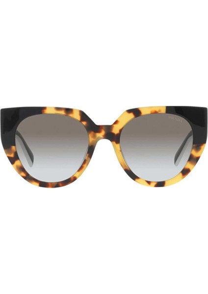 Pr 14WS 01M0A7 Güneş Gözlüğü fiyatları