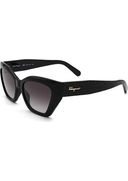 Salvatore Ferragamo Sf 1043S 001 Kadın Güneş Gözlü