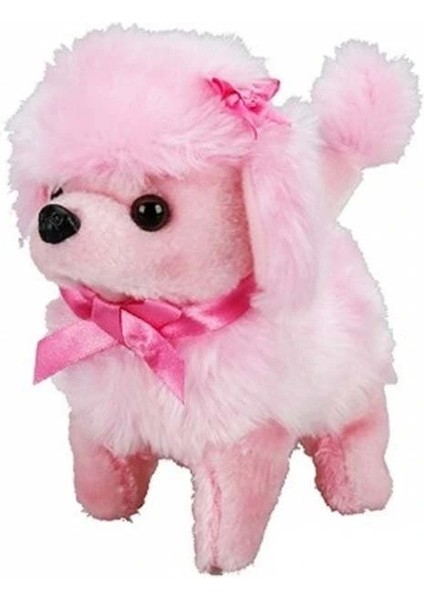 Nessiworld Sunman Sevimli Köpek Poodle