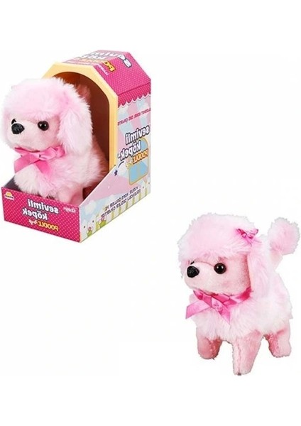 Nessiworld Sunman Sevimli Köpek Poodle