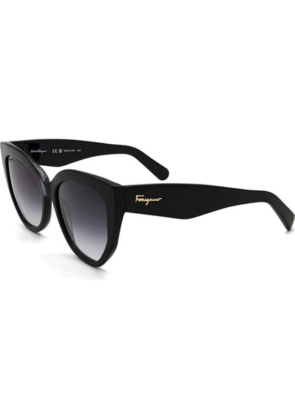 Salvatore Ferragamo Sf 1061S 001 Kadın Güneş Gözlü