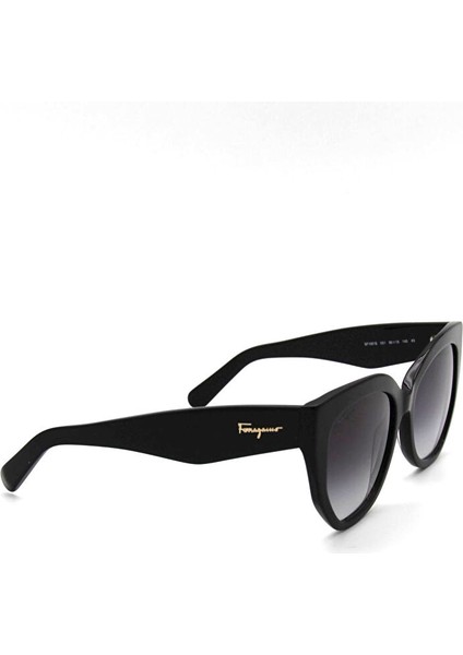 Salvatore Ferragamo Sf 1061S 001 Kadın Güneş Gözlü modelleri