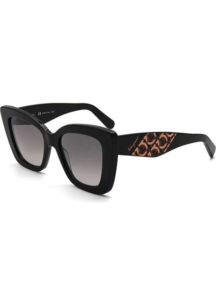 Salvatore Ferragamo Sf 1023S 001 Kadın Güneş Gözlü