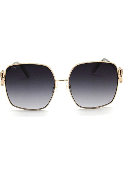 Salvatore Ferragamo Sf 243SR 738 Kadın Güneş Gözlü fiyatları