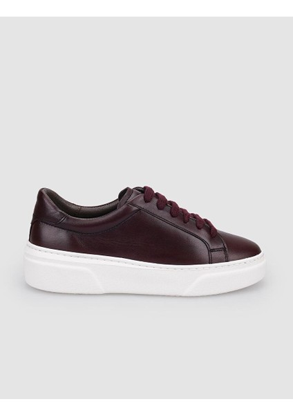 Kahverengi Kadın Deri Sneaker 126063