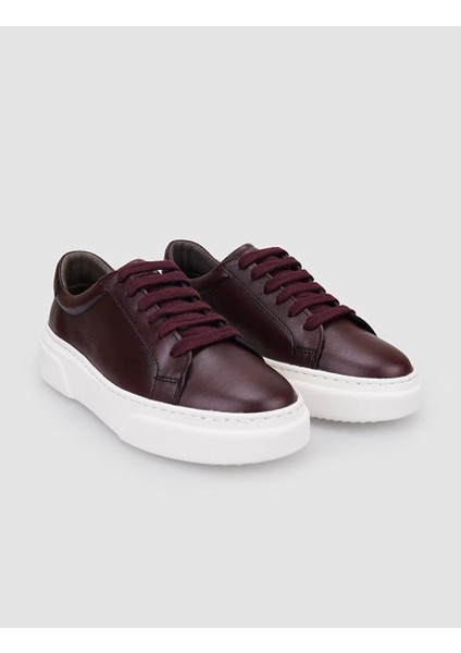 Kahverengi Kadın Deri Sneaker 126063