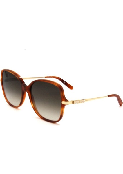 Salvatore Ferragamo Sf 990SR 214 Kadın Güneş Gözlü
