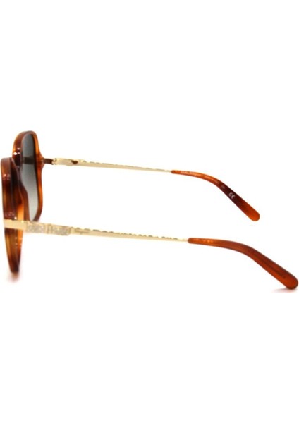Salvatore Ferragamo Sf 990SR 214 Kadın Güneş Gözlü modelleri