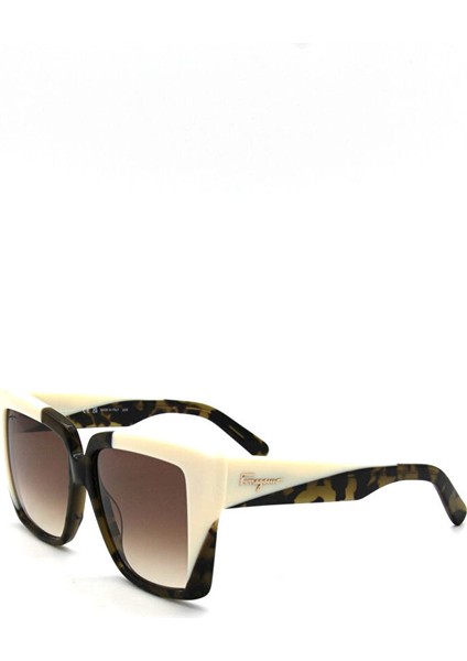 Salvatore Ferragamo Sf 1060S 341 Kadın Güneş Gözlü