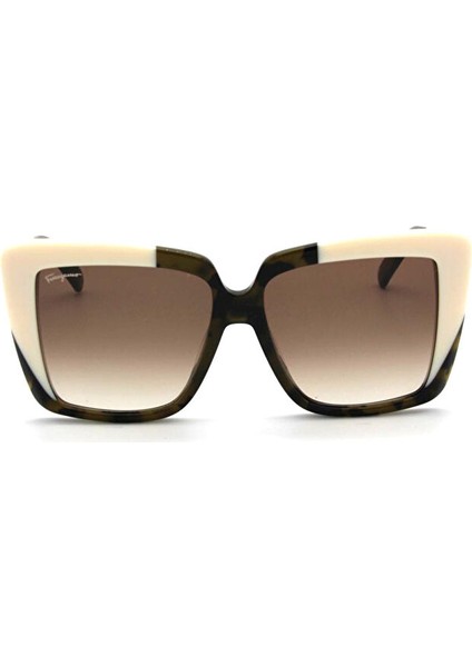 Salvatore Ferragamo Sf 1060S 341 Kadın Güneş Gözlü fiyatları