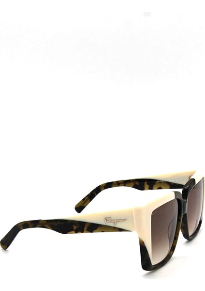 Salvatore Ferragamo Sf 1060S 341 Kadın Güneş Gözlü modelleri