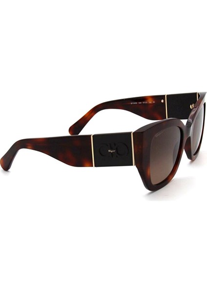 Salvatore Ferragamo Sf 1045S 238 Kadın Güneş Gözlü modelleri