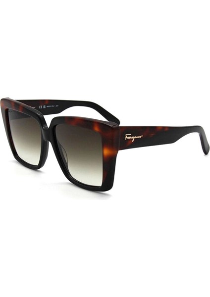Salvatore Ferragamo Sf 1060S 006 Kadın Güneş Gözlü
