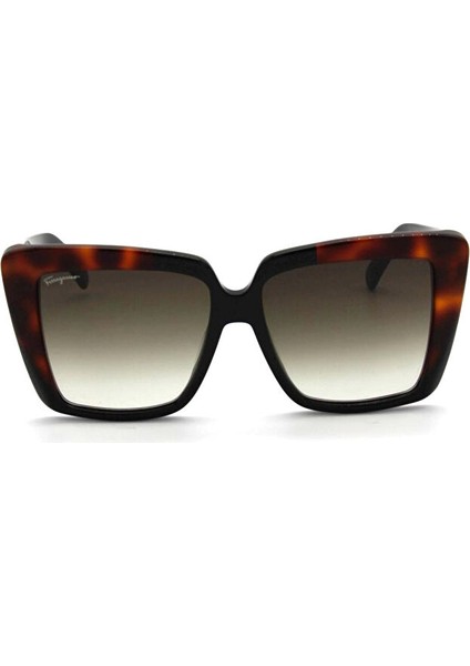 Salvatore Ferragamo Sf 1060S 006 Kadın Güneş Gözlü fiyatları