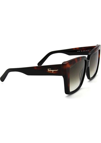 Salvatore Ferragamo Sf 1060S 006 Kadın Güneş Gözlü modelleri