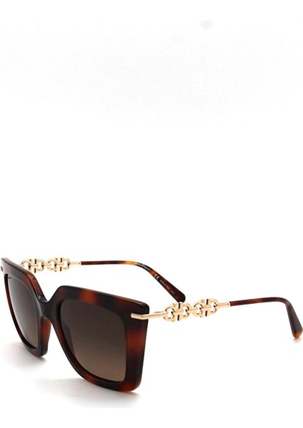 Salvatore Ferragamo Sf 1041S 238 Kadın Güneş Gözlü