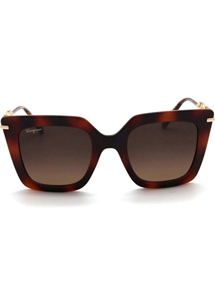 Salvatore Ferragamo Sf 1041S 238 Kadın Güneş Gözlü fiyatları