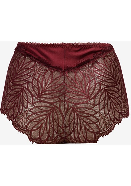 Bordo Kadın Bikini Külot 586