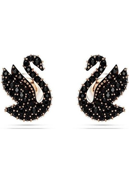 5684608 Swarovski Küpe Swan:pe Prl RC06/ROS