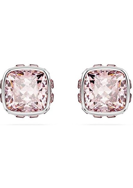 5660799 Swarovski Küpe Birthstone:pe Studs Jun Pin/rhs