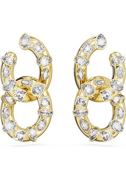 5663263 Swarovski Küpe Dextera:pe Whi/gos