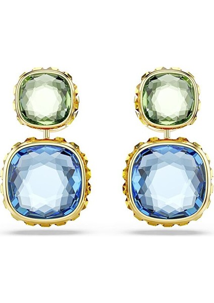 5692492 Swarovski Küpe Chroma:pe Versatıle Mul/gos