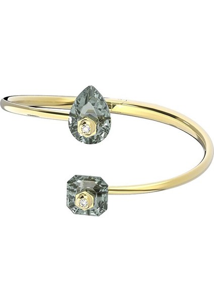 5620753 Swarovski Bilezik Studıosa:bangle Bdıa/gos M
