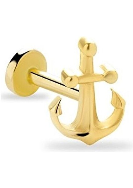 Çapa 14 Ayar Altın Tragus Piercing