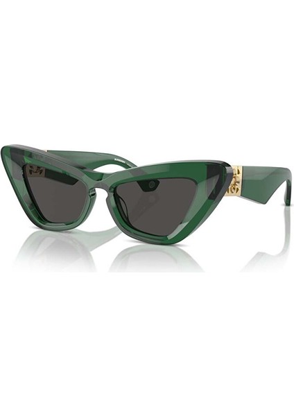 Ray-Ban RB2242 Wayfarer Ovalkahve Unisex Polarize Güneş Gözlüğü