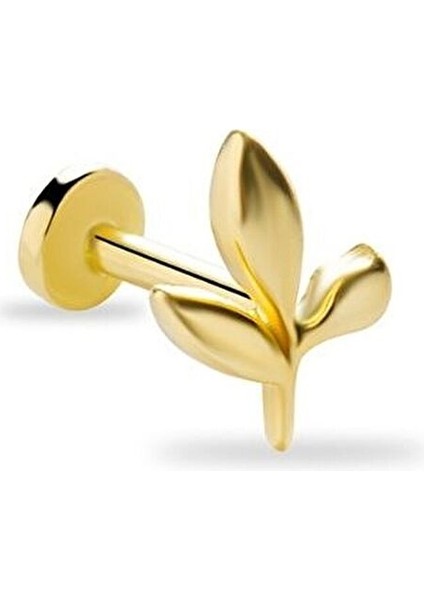 Dal 14 Ayar Altın Tragus Piercing