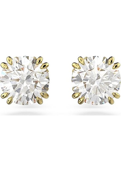 5642595 Swarovski Küpe Constella:pe Stud Rd Whıte/gos