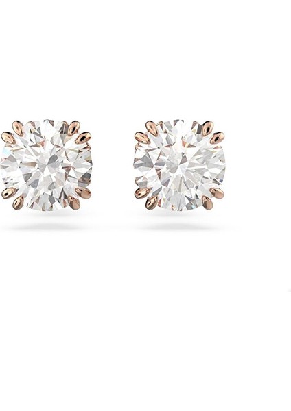 5638801 Swarovski Küpe Constella:pe Stud Rd Whıte/ros