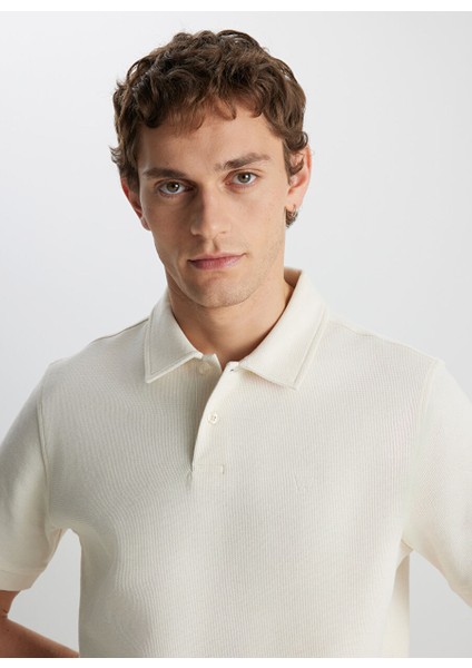 Ekru Erkek Polo Yaka Regular Fit T-Shirt W2510720104 fırsatları
