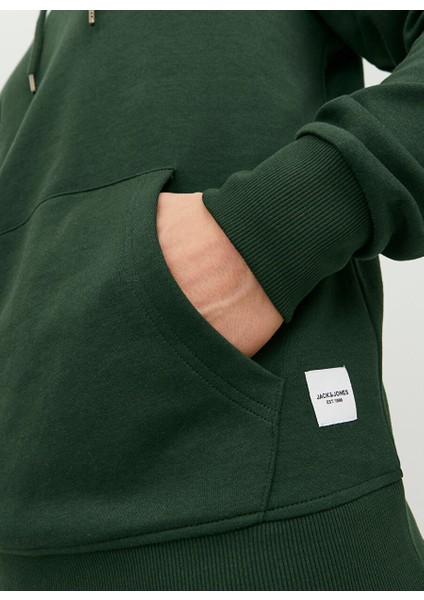 Kapüşon Yaka Koyu Yeşil Erkek Sweatshırt 12182537_JJEBASIC Sweat Hood Noos fiyatları