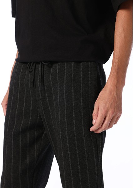 Antrasit Melanj Erkek Jogger Çizgili Chino Pantolon F4WM-PNT 2109
