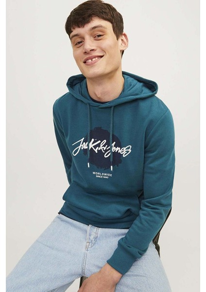 Lacivert Erkek Kapüşon Yaka Standart Sweatshirt Jjtıley Sweat Hood Ln fiyatları