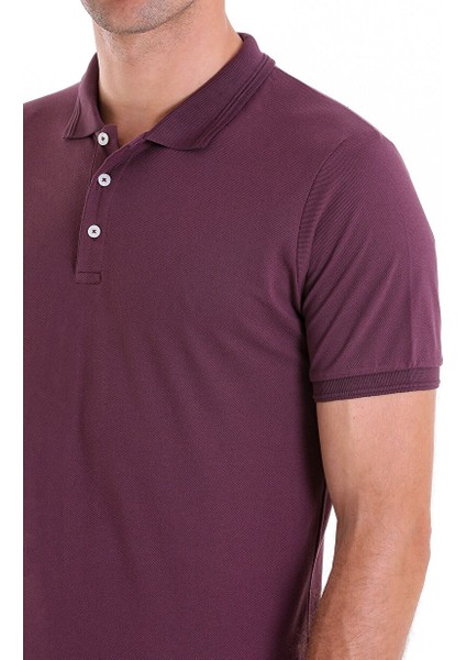 Mor Regular Fit Düz 100% Pamuklu Polo Yaka Tişört